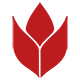 Chavavo Logo